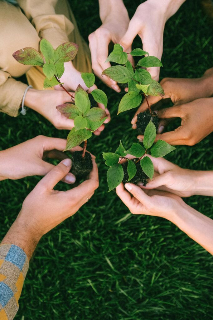 planting trees