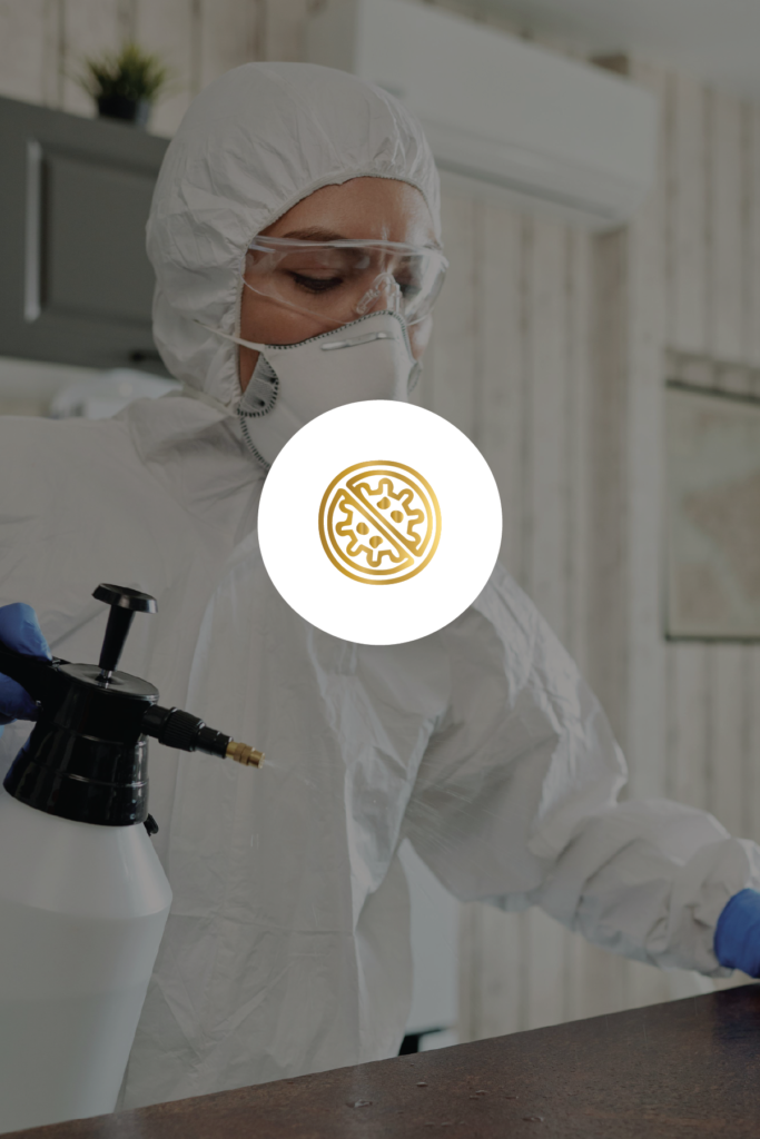 covid cleaning